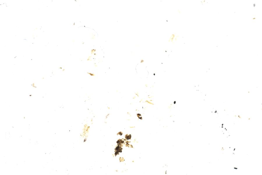 Image 34